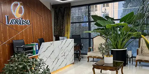 لوئیز تهران